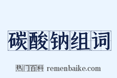 碳酸钠组词是什么意思的图片